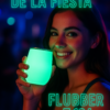 T 194  FLUBBER