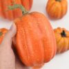 7 Cien Piezas De Calabaza Decorativa De Halloween Artificial