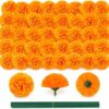 71HPoZtWIqL._AC_SX679_ 60pcs Cempasúchil de Día de los Muertos 9cm con 60 Tallos